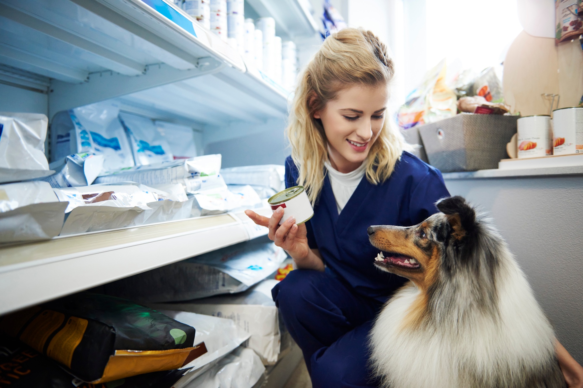 Young woman taking food for a dog from shelf in veterinary surgery
